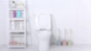 Sanitation Tool for Bathrooms: A Comprehensive Guide to the Toilet Bowl Brush & Holder