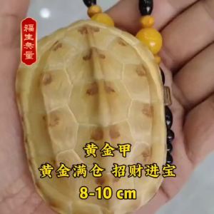 กระดองเต่าสีทอง ดึงดูดความมั่งคั่ง สะอาด ธรรมชาติ นำโชค ปรับแต่งได้ ของตกแต่งเล็กๆ ฟองชุย
