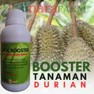 Pupuk durianPupuk buah durian cepat berbuahPupuk super booster durianPupuk durian anti rontok