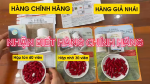 Nhân Sâm Tăng Phì Khai Vị Bổ Hoàn - Ginseng Jin Fui Wan (chính hãng date mới)