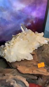 bụi đá thạch anh tinh thể VIP chóp nhọn phale Lemurian tán sắc tự nhiên năng lượng Vũ trụ 578