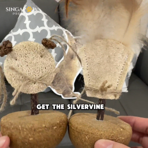 CatWant Tumbler Feather Silvervine Gall Fruit Natural Dental Care Safe Feline Cat Toy