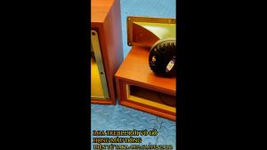 Loa treble rời vỏ gỗ họng màu đồng củ kèn 450 có mạch phân tần chống cháy hàng cao cấp