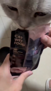 90G Cat Wet Food Pouch High Animal Protein Content Nutritional Balance Goodest Cat Food