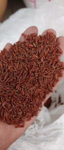 Gạo Lứt Huyết Rồng (LOẠI 1) 1KG - Gạo Lứt Huyết Rông Hút Chân Không Cao Cấp