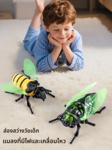 ขยับได้ ตัวแมลงสุดน่ารัก รถโมเดลแมลงที่เด็กๆ สามารถเล่นได้ ตัวแมลงแบบสมจริง 7 ดาว ชุดขี่จักรยานแบบบิด