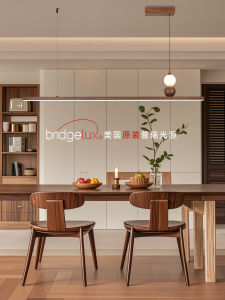Minimalist Retro Dining Pendant Light