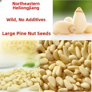 Original Flavor Wild Mountain Pine Nut Kernels Large Particle Snacks Unpacked 500g from DaXingAnLing Heilongjiang China