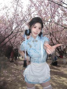 New Chinese Style Cheongsam Dress Halloween Christmas Cosplay Uniform Short Sleeve Maids Uniform Short Cheongsam Daily Wear