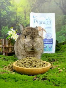 cỏ nén pronutri không ngũ cốc ngừa tiết niệu dành cho thỏ lớn hãng Dr Bunny -T3 PETS SHOP