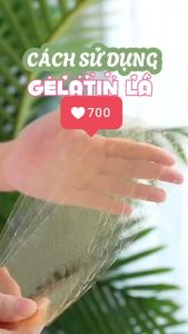 Gelatin Dạng Lá -Chính Hãng- Combo 10 lá Làm Thạch Bánh Mouse Cheese Cake - TFood