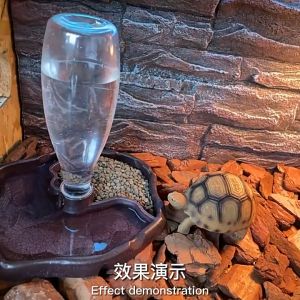 Automatic Reptile Feeders Turtle Food Water Bowl Dispenser Bottle for Tortoise Kura Penyu Lembangan Reptilia