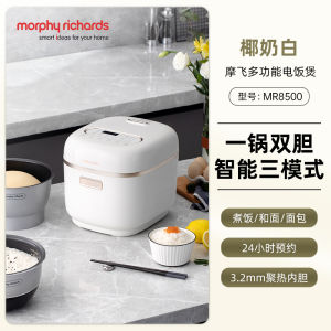 Smart Small 3L Electric Rice Cooker Multi-Function Soup Maker Double Barrel Intelligent Dough Kneader Bread Maker Morphy Richards