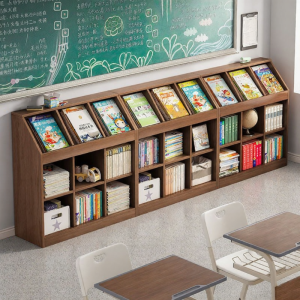 Display and Storage Shelf