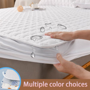 Waterproof Mattress Protector Single Super Single Twin Queen King Thickened Fitted Cadar Non-slip Bed Sheet Cover Cadar Tilam 防水床笠