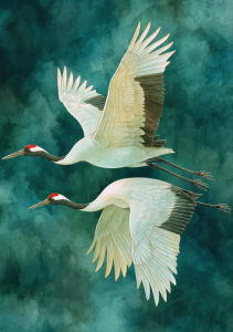 BILIBILI | Crane Koi Fish Jigsaw Puzzle 500/1000/1200/2000PCS Serene Scene Focus Activity Leisure Time Gift Frameless