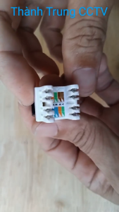 Nhân mạng cat6 lắp cho patch panel CommScope/AMP