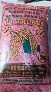 BENIH PADI VARIETAS INPARI 32