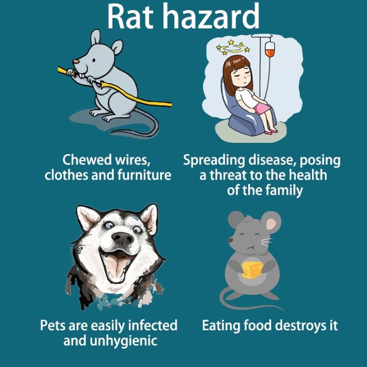 %F0%9F%9A%85SG%20stock%F0%9F%92%A8%20Rat%20repellent%20gel%20/%20Plant%20safety%20peppermint%20rat%20repellent%20cream%20/%20Home%20Kitchen%20Toilet%20Car%20Mouse%20repellent%20gel%20%E8%80%81%E9%BC%A0%E5%85%8B%E6%98%9F%20-%20Image%203