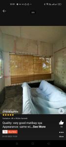 6FT H WINDOW BLINDS BURI ROLL UP WITH NATURAL VARNISH