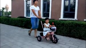 FLYBB Kids Sepeda Roda Tiga Lipat Multifungsi Sepeda Anak Laki Laki Tricycle Exotic