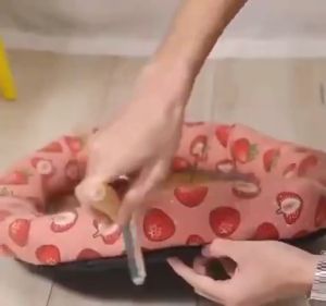 Mini Hair Removal Brush & Portable Fluff Roller: A Comprehensive Guide