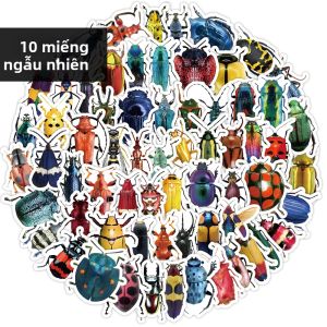 Bộ Sticker Hình Bọ Cánh Cứng Hoạt Hình Dễ Thương Để Trang Trí Đồ Chơi Vali Laptop Guitar Ván Trượt Ốp Điện Thoại Xe Đạp Ô Tô - Gói 10/50/500 Miếng Giấy Tổng Hợp
