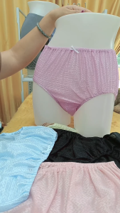 12 ตัว ขายส่งยกเเพค กางเกงในร้อยยาง กางเกงในคนแก่ กางเกงในยางสอด กางเกงในผ้าไนล่อน กางเกงในคนท้อง