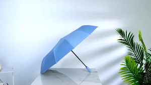 (SG STOCK) 12 Ribs / 24 Keels Large Automatic Umbrella Anti-UV Super Windproof Umbrella Auto Open Close