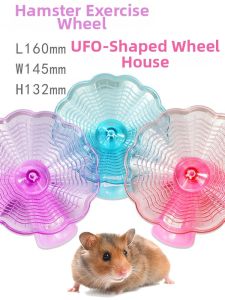 Hamster Wheel Toy