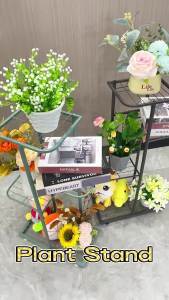 Indoor Outdoor Iron Multi-tier Plant Stand