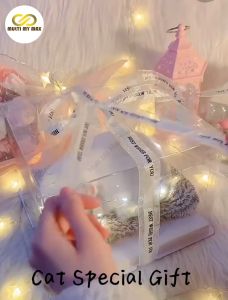 Valentine Gift Cute Cat Rabbit Pet Gift Birthday Girlfriend Present Gift Box Hadiah Kekasih Murah Kucing 情人节礼物生日男女朋友女生闺蜜礼物