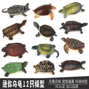 Cute Artificial Mini Turtle Collection Model Tortoise Toy Marine Animal Turtle Suit Solid Kids Gift