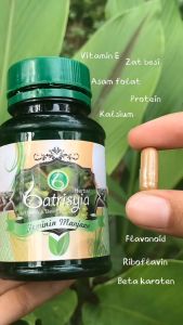 Batrisyia Ekstrak Daun Binahong - Batrisyia Binahong
