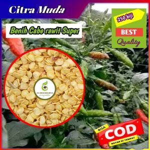 200-+Bibit  Benih biji Cabe rawit Super Unggul paket hemat