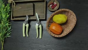 Pruning Knives Fruit Tree Garden Branch Cutting Household Grafting Tools Stainless Steel Scissors for Flower Cutting Arrangement
