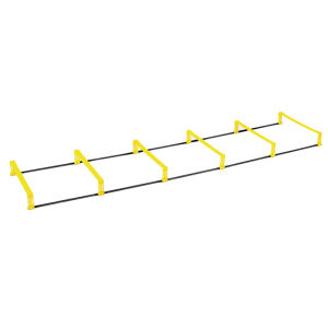SO NICE | Agility Training Ladder