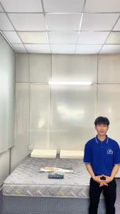 TẶNG DRAP Nệm dày 20cm nệm cao su tổng hợp Việt Mỹ Latex bảo hành 10 năm giao hàng toàn quốc