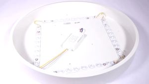 Tri Color LED Ceiling Light & Local Seller COD: A Comprehensive Guide