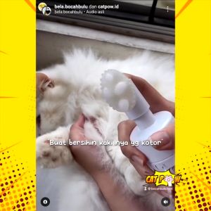 CATPOW Waterless Paw Cleanser Pembersih Paw Tanpa Bilas Anjing Kucing 150ml