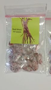 Red Pole Sitao & String Beans: 30 Organic Vegetable Seeds