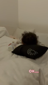 Kaeggie Organic Bamboo Cover Hugging Pillow Size S/M/L | BROTHER BEAR