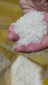 Golden Dragon Premium Well-Milled Rice 5kg | Mabango