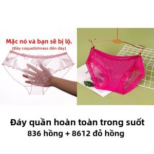 Quần Lót Ren Mỏng Gợi Cảm Mùa Hè Cho Nữ Cỡ Lớn Thoáng Khí Thêu Lưới Trong Suốt Cỡ Lớn Cảm Giác Trần Cạp Thấp Họa Tiết Hoa