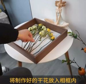 SG Seller [Super Offer] Wooden Frame Double-Sided Transparent Acrlic Sheet Art Display Box for Flowers Specimens DIY Valentines Gift Christmas Gift Mothers Day Gift