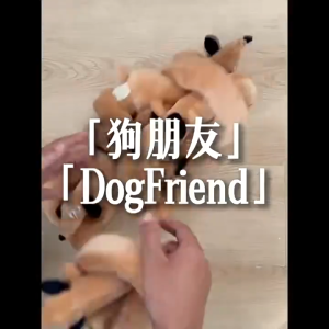 ตุ๊กตาหมาพันธุ์ดัชชุนด์ยาวสมจริง มีเสียงสำหรับเล่นชักเย่อ