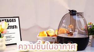 เครื่องดูดความชื้น ไฟฟ้า 2.5L ปิดเสียง สเปรย์ขนาดใหญ่ ใช้ในบ้าน สำนักงาน กำลังมาก ฟอกอากาศ เครื่องควบคุมความชื้น ป้องกันความชื้น