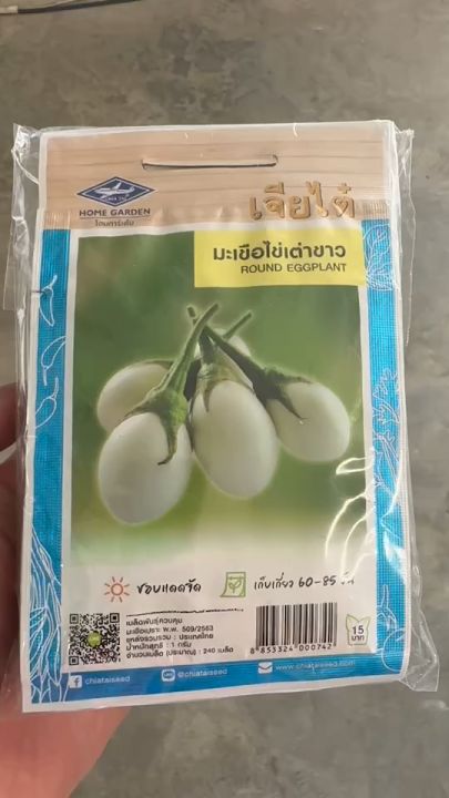 เมล็ดพันธุ์เจียไต๋ มะเขือไข่เต่าขาว ปลูกง่าย ผลดก