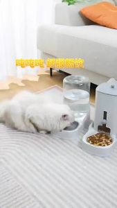 Pet Automatic Feeder Large Capacity Cat Dog Food Feeder Bowl Water Dispenser Bekas Makanan Kucing