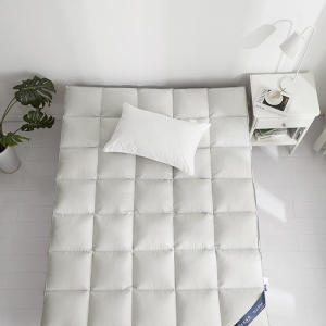 MOLORE | High-quality Soft Feather Mattress Pad Double